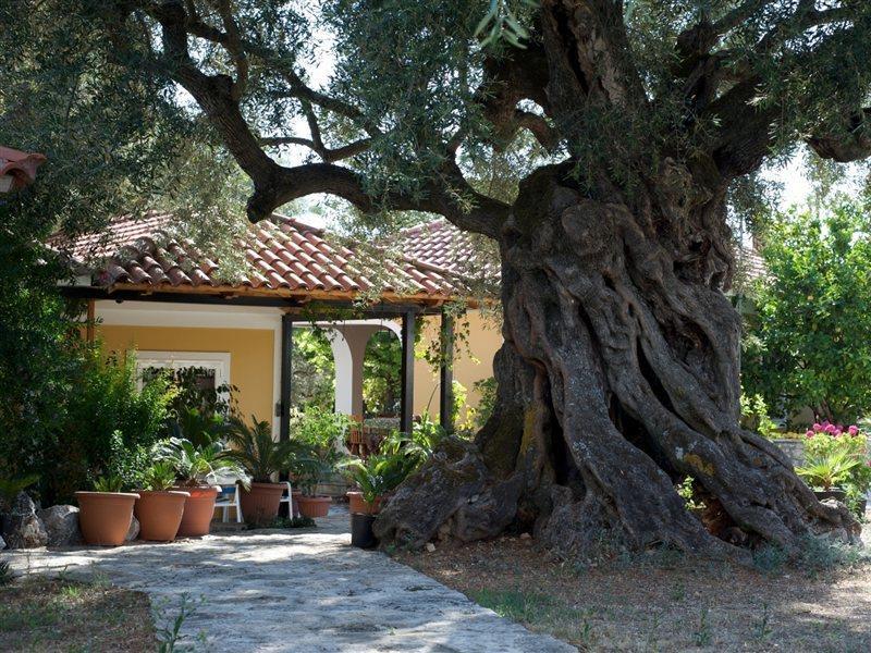 Villa Christina Zakynthos Exteriér fotografie